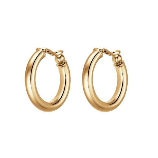 Earrings - AFE82-G