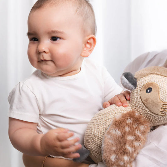 Kenny The Kookaburra