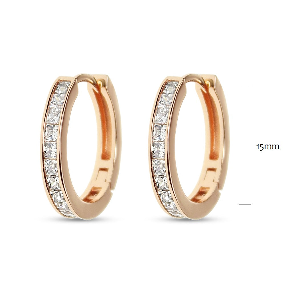 Earrings EA284P