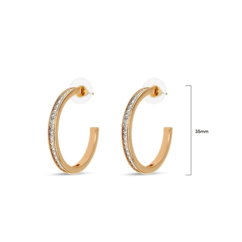 Earrings - EA382P
