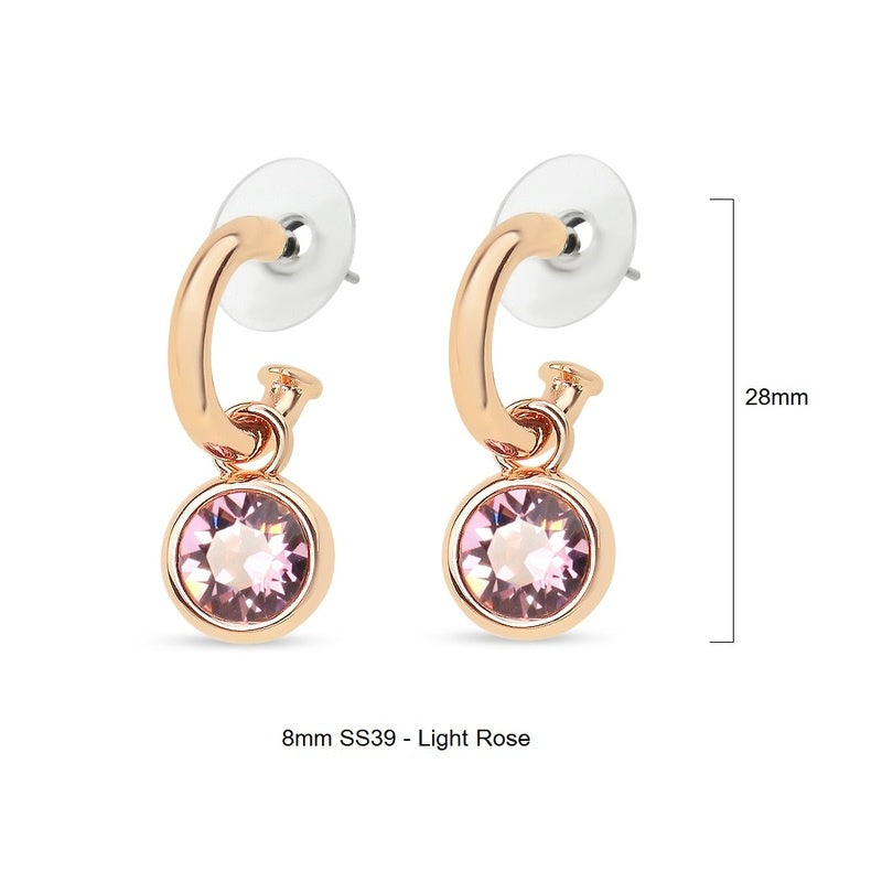 Earrings - EW199C