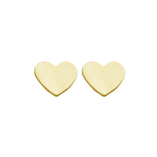 Earrings - SE106-G