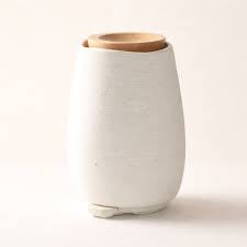 Aroma Fern Ceramic Diffuser - Natural