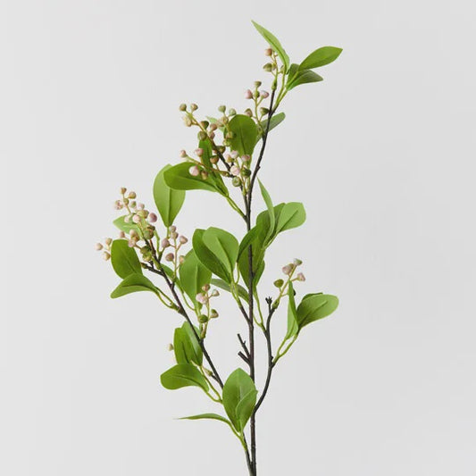 Seed Spray