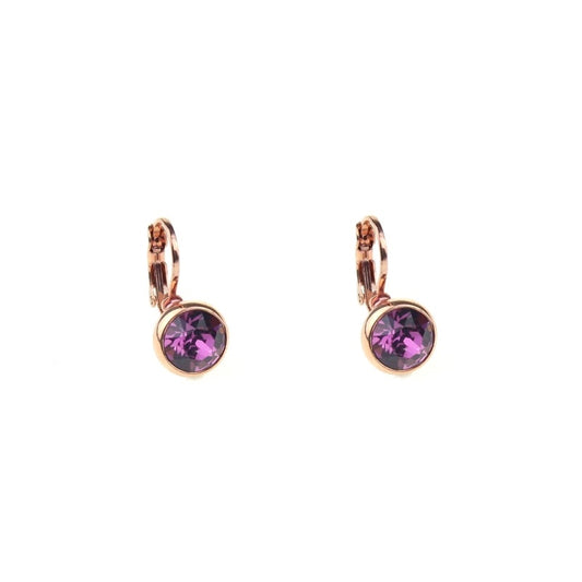 Earrings - E01353V