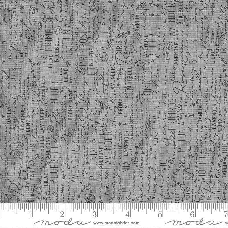 Spring Chicken - M5552016