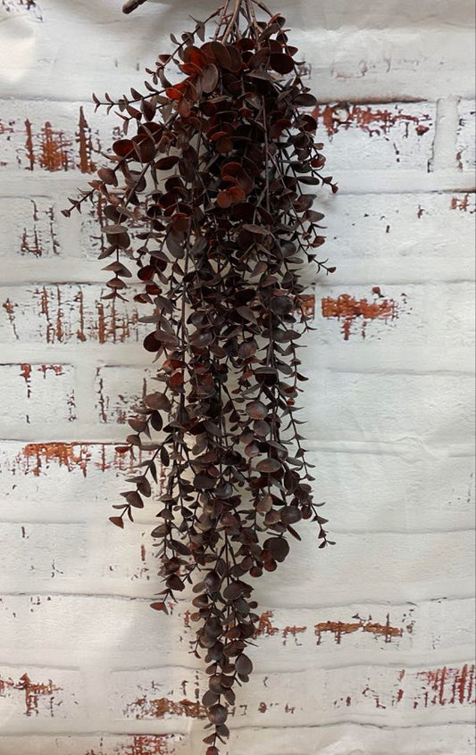 Eucalyptus Hanging Bush - Burgundy