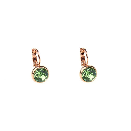 Earrings - E01353P