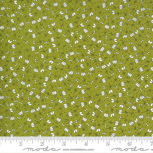 Spring Chicken - M5552223