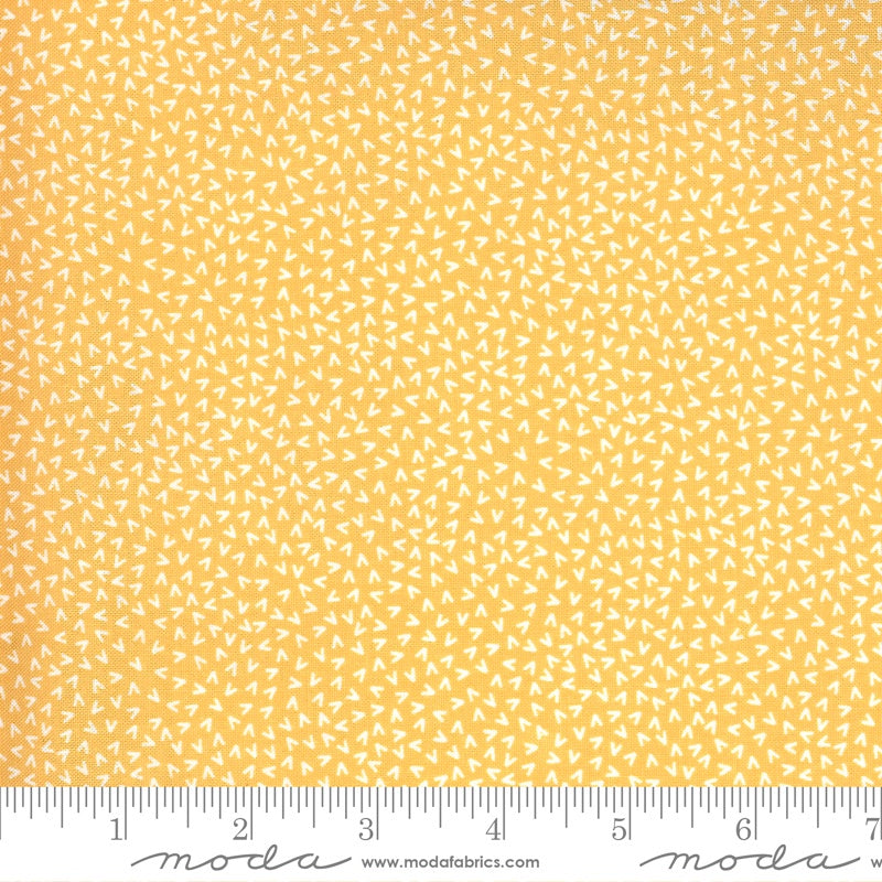 Spring Chicken - M5552514