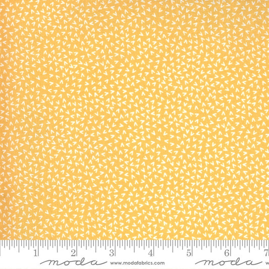 Spring Chicken - M5552514