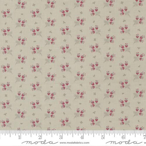 Sugarberry - M302212