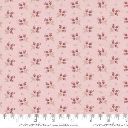 Sugarberry - M302217