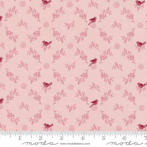 Sugarberry - M302417