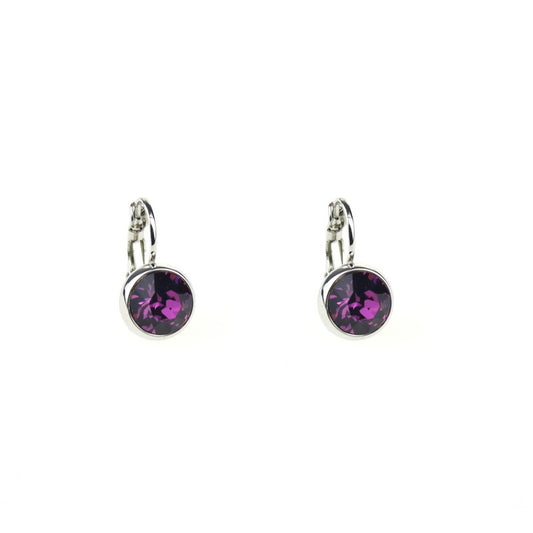 Earrings - E01306V