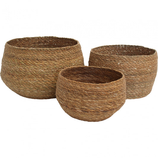 Basket Patil - Medium