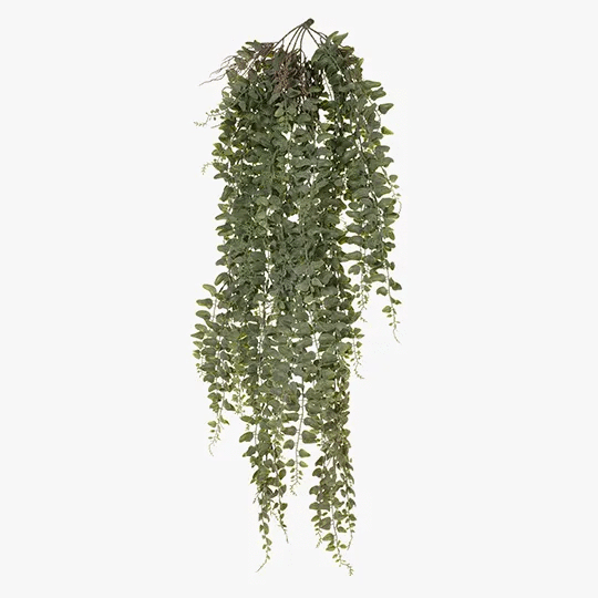 Fern Jewel Hanging Bush 81cm