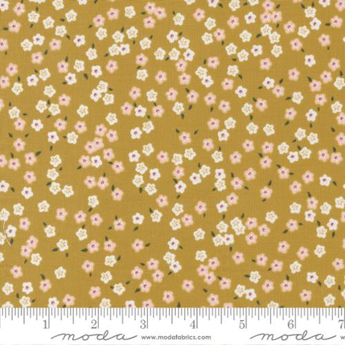 Evermore - M4315413