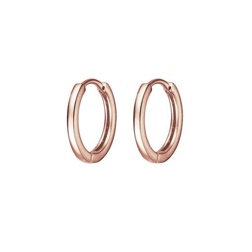 Earrings - HE144RG6
