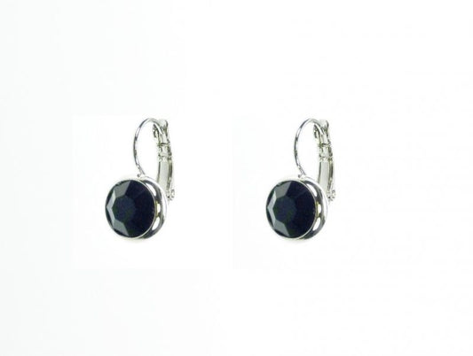 Earrings - E01306J
