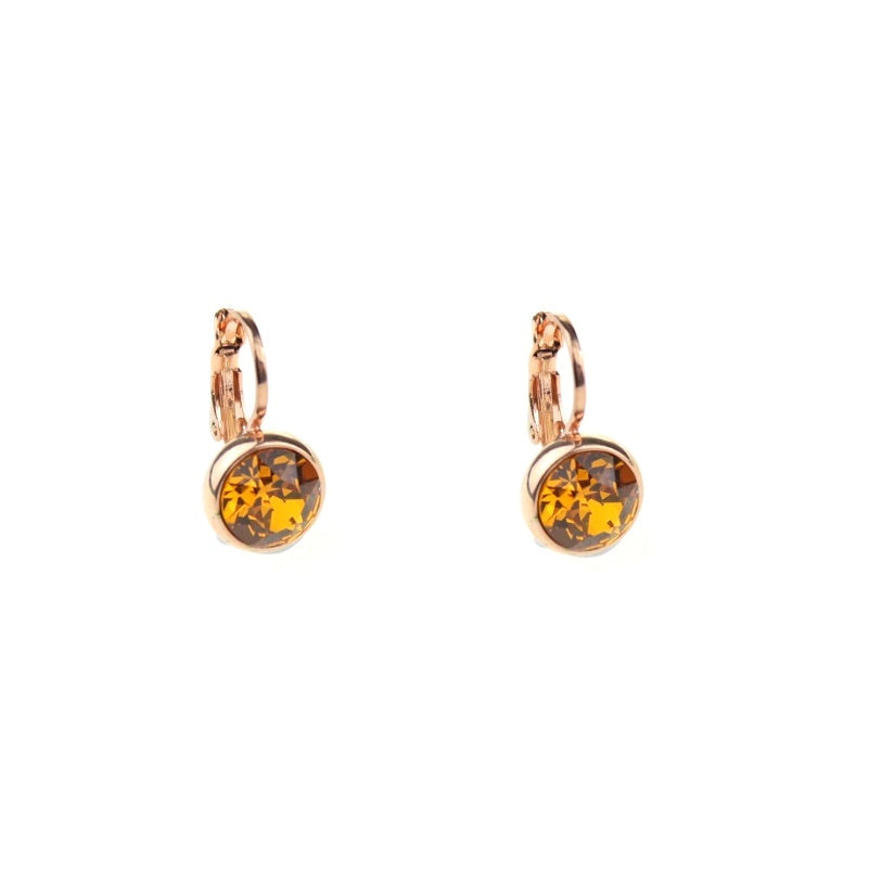 Earrings E01353T