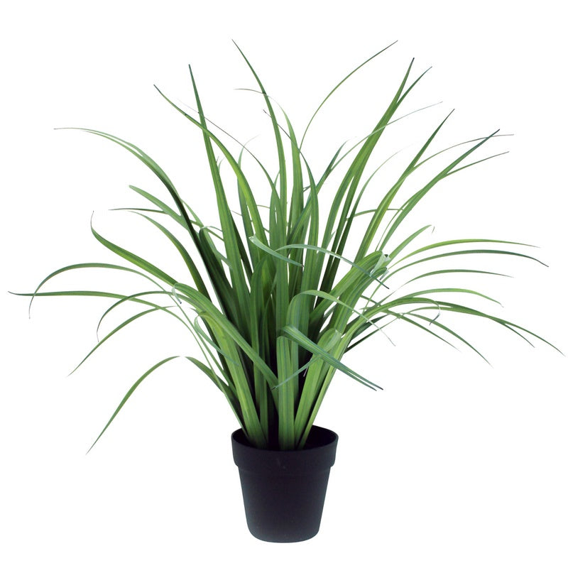 Grass With Black Pot 77cm