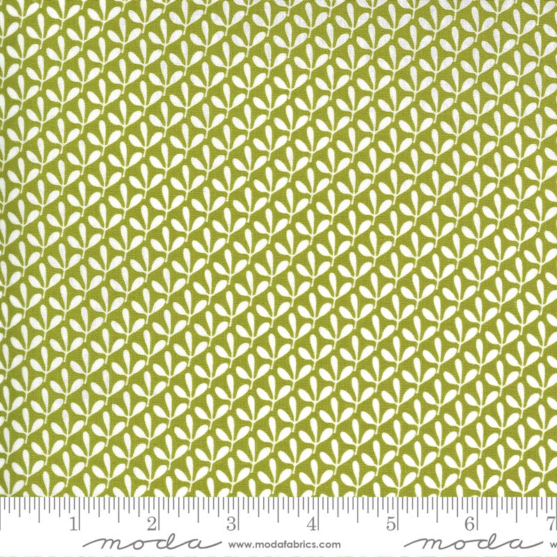 Spring Chicken - M5552813