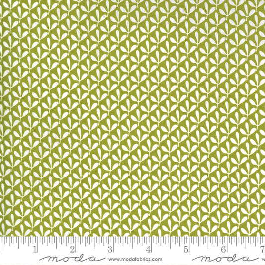 Spring Chicken - M5552813