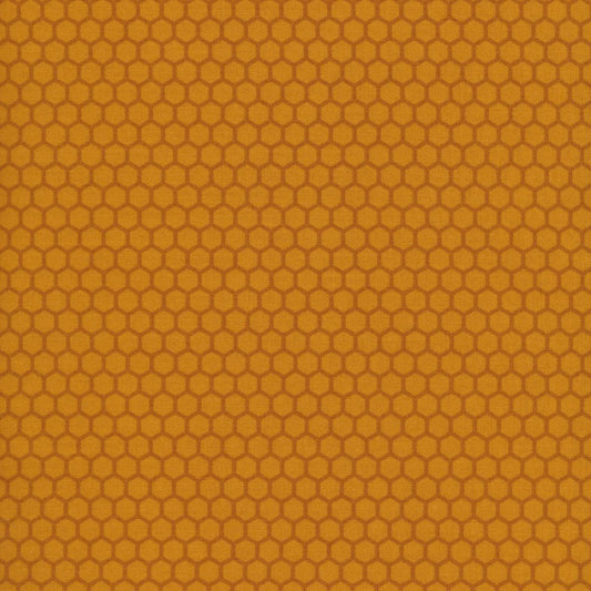 Local Honey Honeycomb Gold