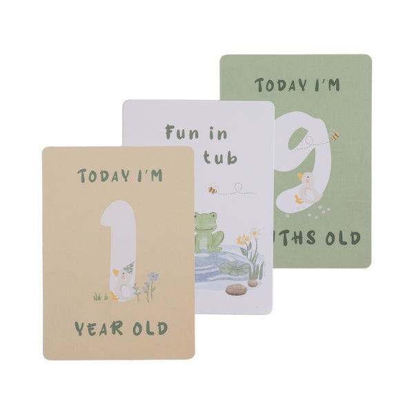 Goosey Goosey - Milestone Cards