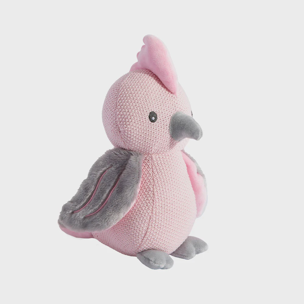 Gary The Galah