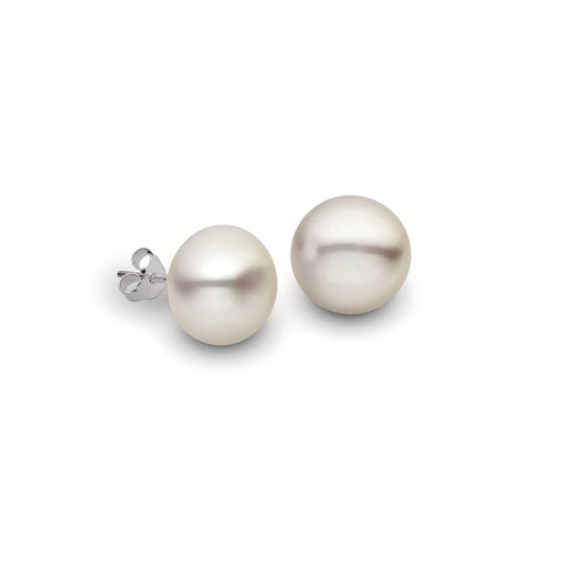 Earrings - SE93P8