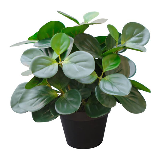 33cm Potted Artificial Peperomia