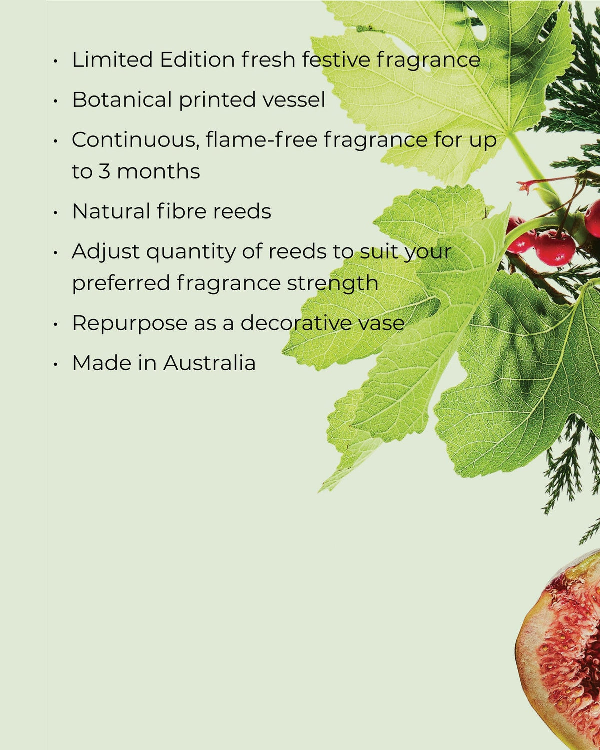White Fig & Cedar Fragrance Diffuser 250ml