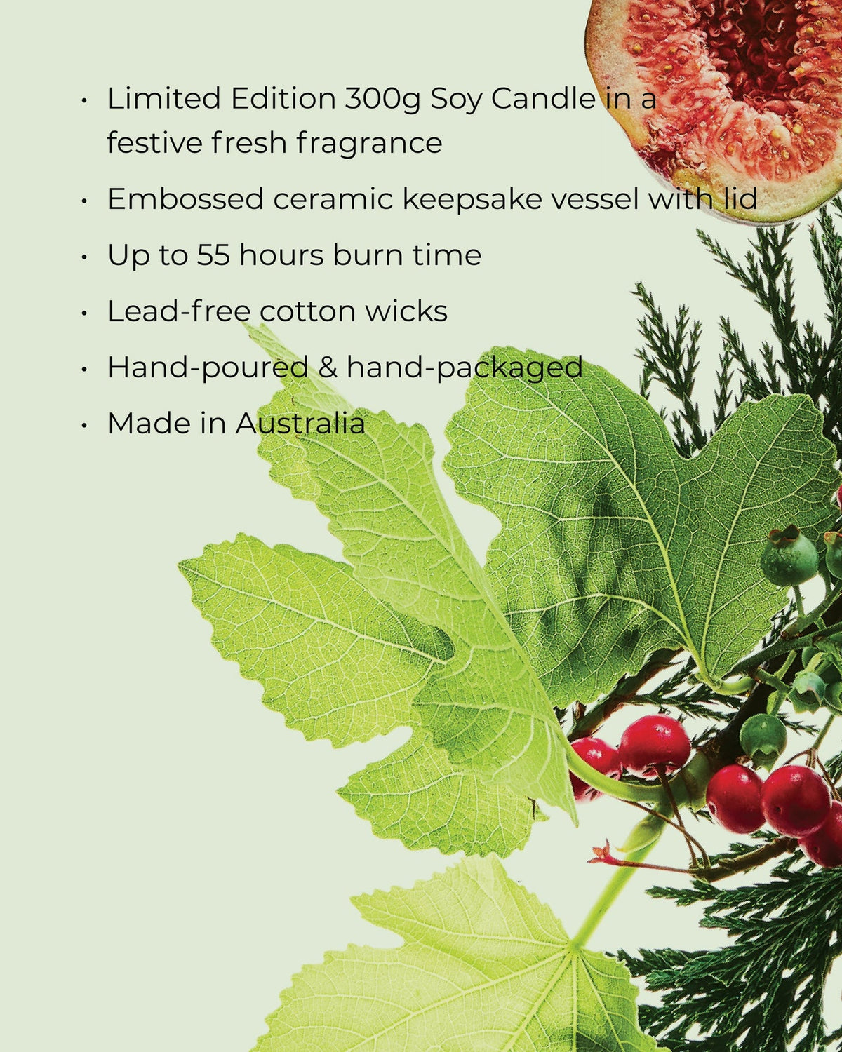 White Fig & Cedar 300g