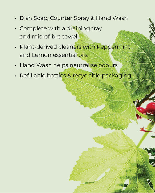 White Tea & Wild Mint Kitchen Trio Gift Set 900mL