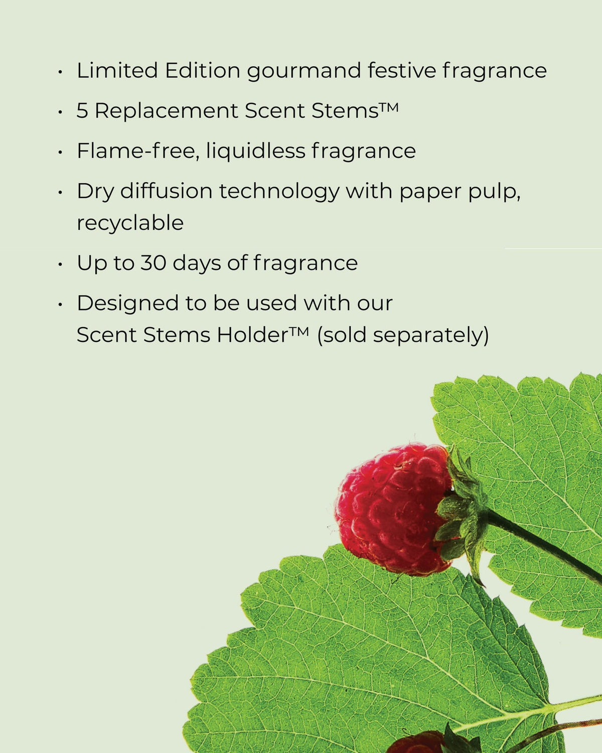 Raspberry & Rhubarb Scent Stems™ Refill