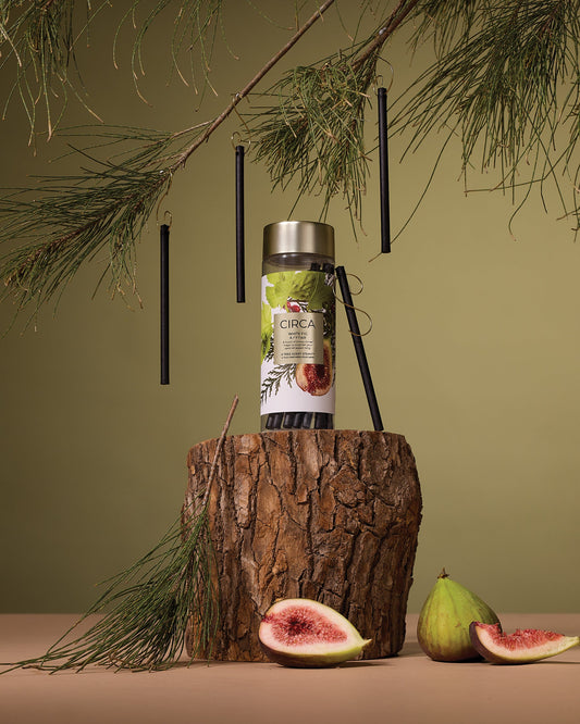 White Fig & Cedar Tree Scent Stems