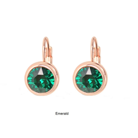 Earrings - E01353E