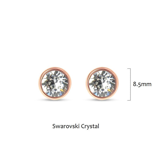 Earrings - E11562P