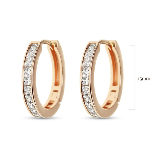 Earrings EA284P