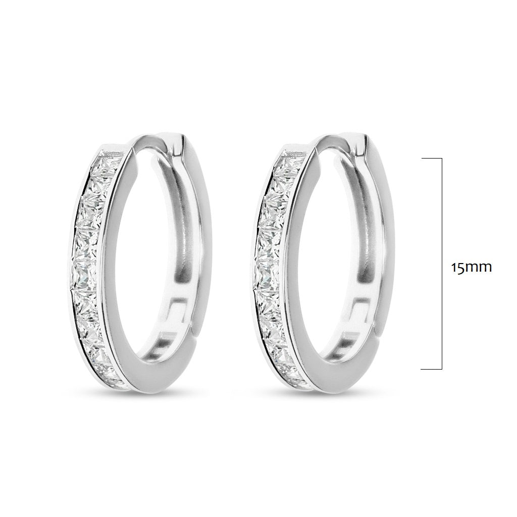 Earrings EA284S