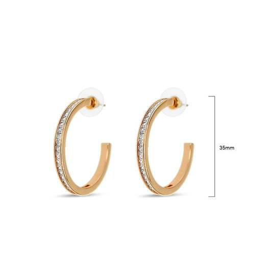 Earrings - EA382P