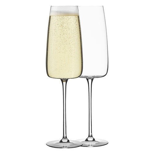Epicure Champagne Glasses 300ml