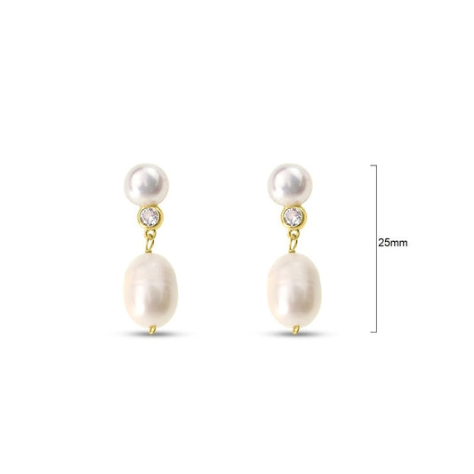 Earrings - EFY013G