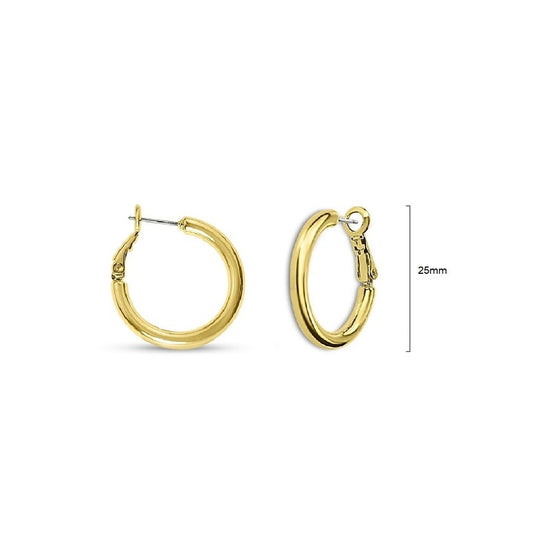 Earrings - EM405G