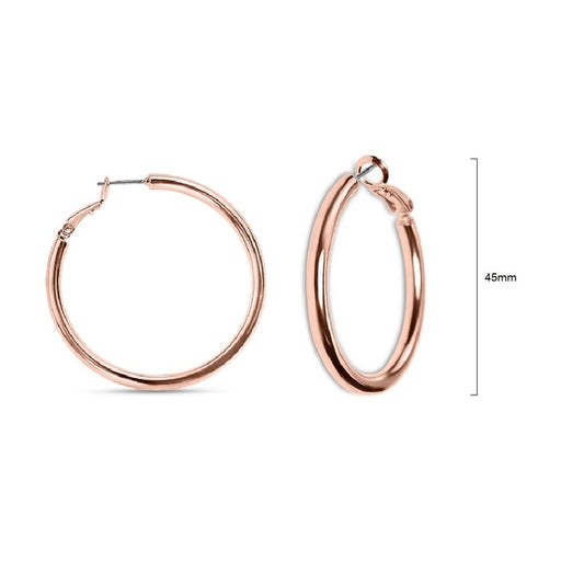 Earrings - EM407P