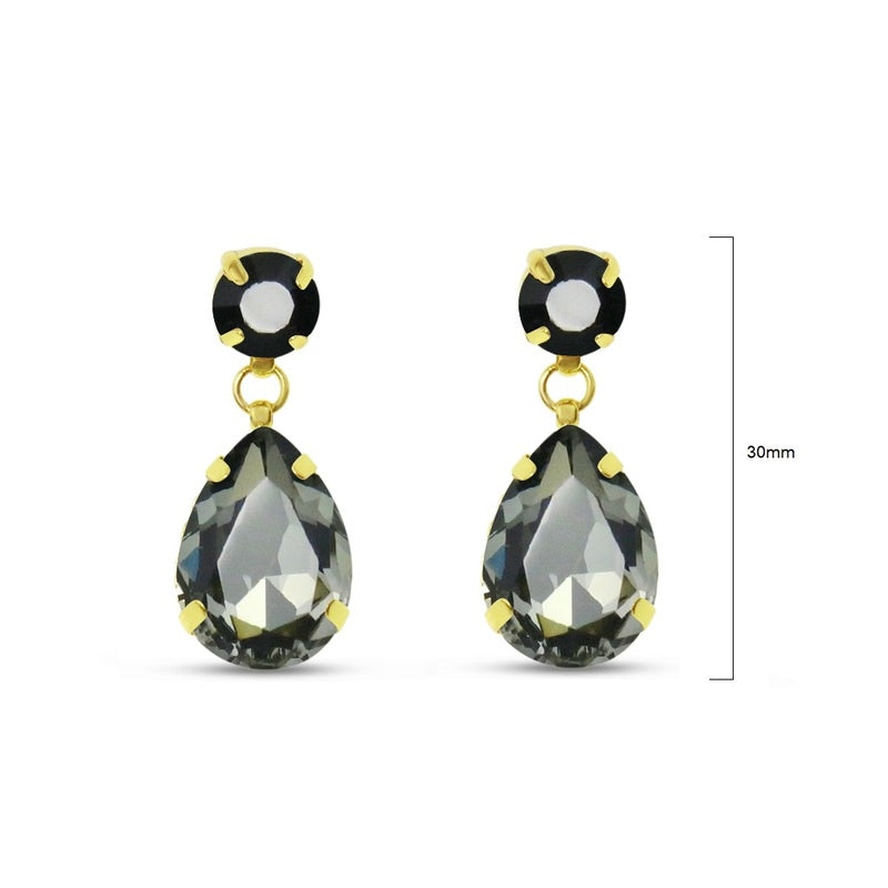 Earrings - EQ103BD