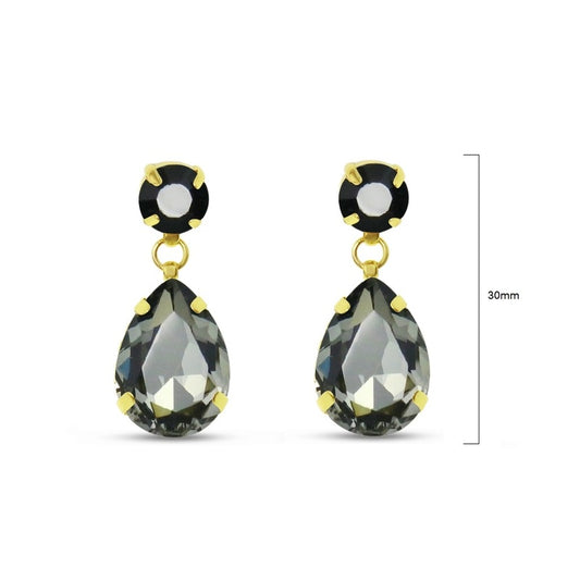 Earrings - EQ103BD