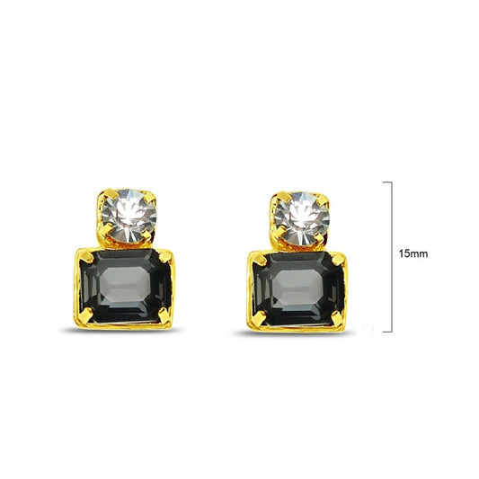 Earrings - EQ160BC